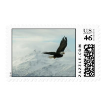 Bald eagle & mountains stamp