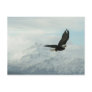 Bald eagle & mountains postcard