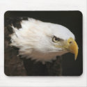 Bald Eagle mousepads by wildlifezoo Bald Eagle mousepads