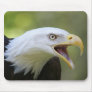 Bald Eagle mousepad