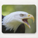 Bald Eagle mousepad by tompurse Bald Eagle mousepad