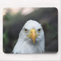 Bald Eagle Mousepad
