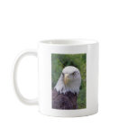 Bald Eagle mug