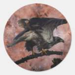 Bald Eagle Nebula Stickers