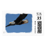 Bald Eagle on a Mission Stamp