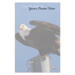 Bald Eagle on Utility Pole; Customizable