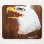 Bald Eagle painting mousepads