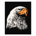 Bald Eagle Patriotic Photograph