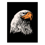 Bald Eagle Patriotic Post Card