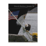 Bald Eagle Perched on a Mooring Line, Dutch Harbor Postcards