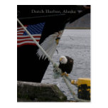 Bald Eagle Perched on a Mooring Line, Dutch Harbor Postcards