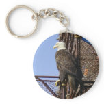 Bald Eagle Perched on Crab Pots Keychain