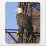 Bald Eagle Perched on Crab Pots Mouse Pads