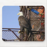 Bald Eagle Perched on Crab Pots Mouse Pads