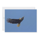 Bald Eagle Photo Personalized Announcement