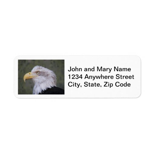 American Eagle Labels American Eagle Address Labels A vrogue.co