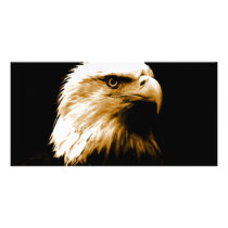 Bald Eagle Photo Greeting Card