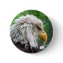 Bald Eagle Photography Pinback Buttons