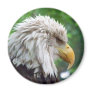 Bald Eagle Photography Refrigerator Magnets