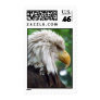 Bald Eagle Photography Postage Stamp