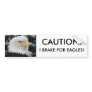 Bald Eagle Portrait Photo Bumper Sticker
