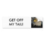 Bald Eagle Portrait Photo Bumper Stickers