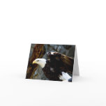 Bald Eagle Pose Note Card