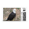 Bald Eagle postage