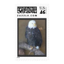 Bald Eagle Postage postage