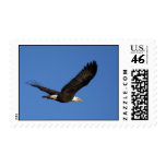 Bald Eagle Postage