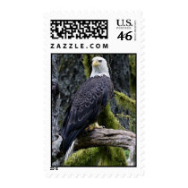 Bald Eagle postage by SweetRascal Bald Eagle postage