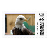 Bald Eagle postage by ratpackfan Bald Eagle postage