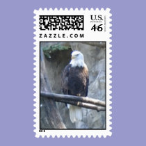 Bald Eagle stamps