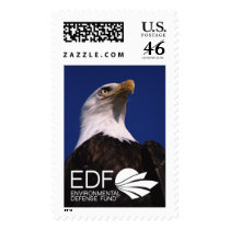 Bald Eagle stamps