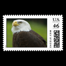 Bald Eagle stamps