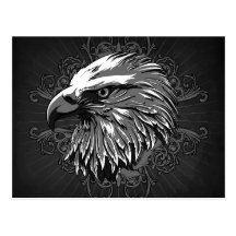 Bald Eagle Postcard
