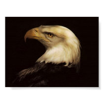 BALD EAGLE posters by PUZLERDOG BALD EAGLE posters