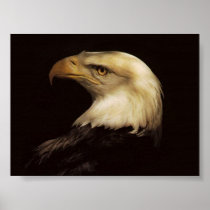 BALD EAGLE POSTERS