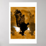 Bald Eagle Poster Print - American Eagle Posters