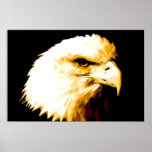 Bald Eagle Poster Print - American Eagle Posters