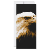 Bald Eagle Rack Card