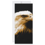 Bald Eagle Rack Card