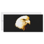 Bald Eagle rack cards