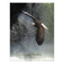 Bald Eagle Raptor Wild Animal Photo Print