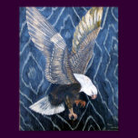 Bald Eagle Scratch