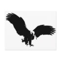 Bald Eagle Silhouette postcards