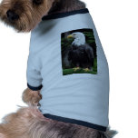 Bald eagle, Sitka, Alaska, U.S.A. Pet Tee Shirt
