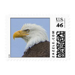 Bald Eagle SM Stamp