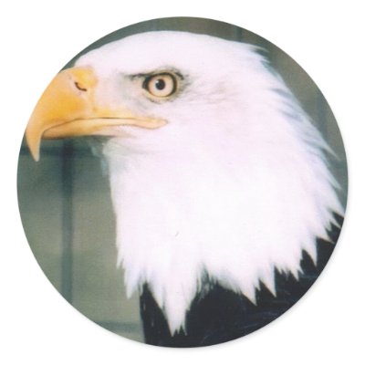 Bald Eagle Sticker by Russ45