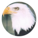 Bald Eagle Sticker by Russ45 Bald Eagle Sticker